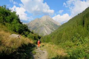 randonnées familiales Champsaur accompagnateur montagne Hautes-Alpes