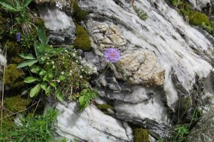 randonnée accompagnateur géologie vaslsenstre marbre esprit parc national